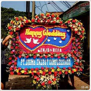 CDE – BP 005 – Bunga Papan